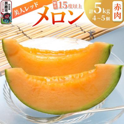 ふるさと納税 男鹿市 [先行受付]美人レッドメロン 4〜5個 計5kg 豊富な甘さの赤肉メロン|23_nhn-070501