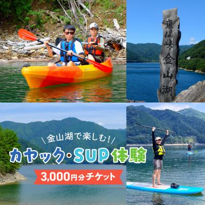 ふるさと納税 下呂市 [金山湖カヤック・SUP体験]体験で利用できるチケット(3,000円分)サップ[a036-1]