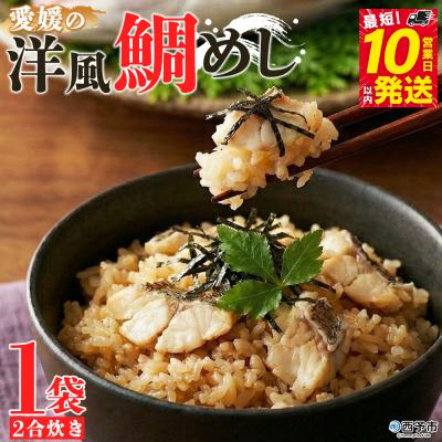 ふるさと納税 西予市 <愛媛の洋風鯛めしセット>『最短10営業日以内に順次発送予定』えひめ 愛媛