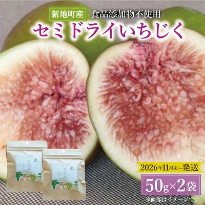 ふるさと納税 新地町 いちじく セミドライフルーツ 50g×2袋
