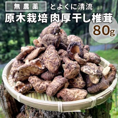 ふるさと納税 設楽町 栽培期間中農薬不使用 原木栽培 肉厚 とよくに清流 ほししいたけ 80g 椎茸 シイタケ