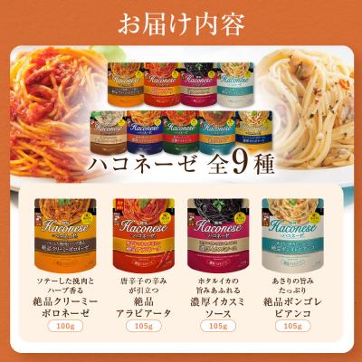 ふるさと納税 京都市 ハコネーゼ全18種コンプリートセット|創味 大人気