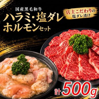 ふるさと納税 小松島市 国産黒毛和牛 ハラミ・塩ダレホルモンセット計500g 肉 国産 阿波牛 ハラミ 小腸 塩だれ BBQ