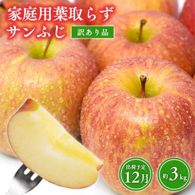 ふるさと納税 平川市 12月 訳あり 家庭用葉取らずサンふじりんご 約3kg[森山商店・青森県産・青森りんご・12月]