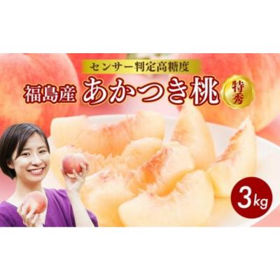 ふるさと納税 国見町 透過式光センサーあかつき桃 特秀3kg相当 9玉〜11玉 ふくしま 桃 福島 もも 国見 モモ