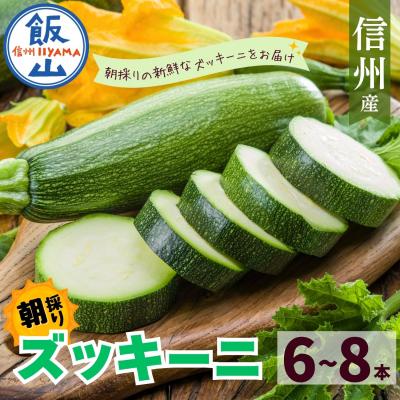 ふるさと納税 飯山市 朝採り!! 新鮮ズッキーニ 約6〜8本 [生産者直送]岸田農園