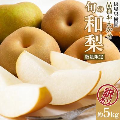 ふるさと納税 角田市 [2026年先行予約/訳あり][馬場果樹園]品種おまかせ 旬の和梨 約5kg 8月中旬〜順次発送