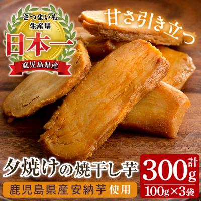 ふるさと納税 いちき串木野市 国産 鹿児島県産 安納芋 夕焼けの焼干し芋(100g×3袋) 無添加 無着色 小分け お試し