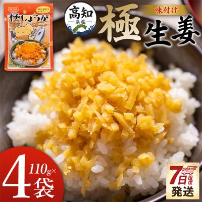 ふるさと納税 香南市 味付け 極しょうが 110g×4袋 計440g おかず ご飯 丼 7日程度で発送 Xnb-0013