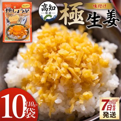 ふるさと納税 香南市 味付け 極しょうが 110g×10袋 計1100g おかず ご飯 丼 Xnb-0014