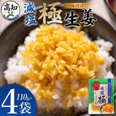 ふるさと納税 香南市 減塩 味付け 極しょうが 110g×4袋 計440g おかず ご飯 丼 Xnb-0015