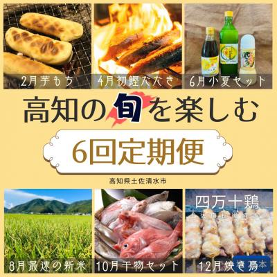ふるさと納税 土佐清水市 定期便 6回 高知の旬セット 鰹のたたき 焼き鳥 お米 干物 芋餅 小夏調味料[J00228]