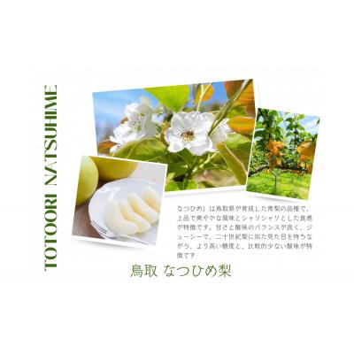 ふるさと納税 鳥取市 [数量限定]鳥取県産 梨 訳あり ご自宅用 なつひめ 5kg