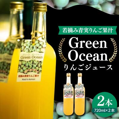 ふるさと納税 五所川原市 りんごジュース 甘さ控えめ 720ml×2本 ストレート GreenOcean 青森県五所川原市
