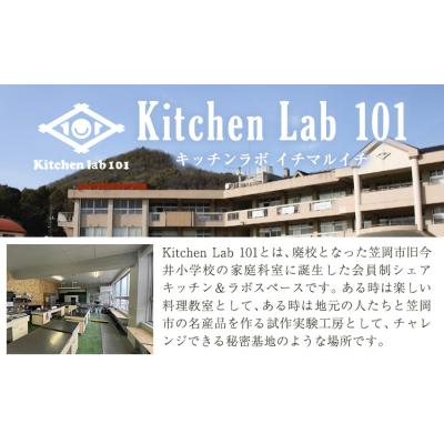 ふるさと納税 笠岡市 瀬戸内 レモンチキンカレー 250g×5パック キッチンラボ101