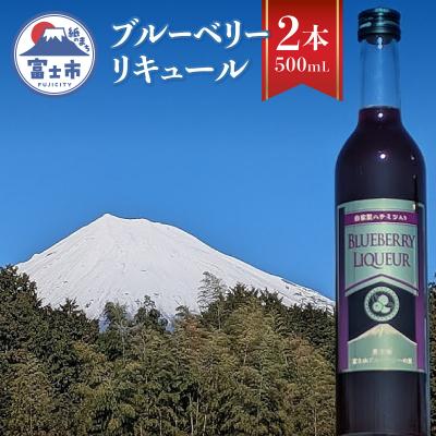 ふるさと納税 富士市 ブルーベリー・リキュール2本入 [sf096-004]