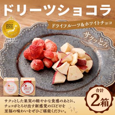 ふるさと納税 釧路市 [14営業日以内に発送] [ストロベリー・アップル] ドリーツショコラドライフルーツ×ホワイトチョコ