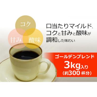 ふるさと納税 名古屋市 加藤珈琲店 ゴールデンブレンド　粉　500g×6袋入りセット　 |  | 03
