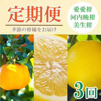 ふるさと納税 愛南町 定期便 3回 3ヶ月 ポンカン 美生柑 河内晩柑 柑橘 みかん フルーツ 愛媛 愛南町 マルエム直販