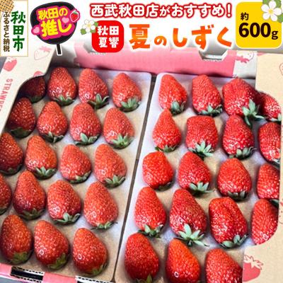 ふるさと納税 秋田市 秋田県産 いちご「秋田夏響」 なつひびき 約600g「夏のしずく」|15_ssa-080101