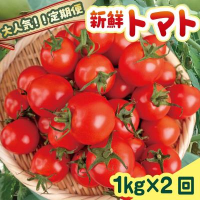 ふるさと納税 安田町 トマト1kg×2回