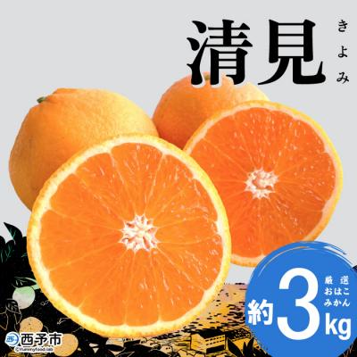 ふるさと納税 西予市 [先行受付]おはこやがつくる 清見 約3kg果物 フルーツ 柑橘
