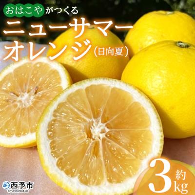 ふるさと納税 西予市 [先行受付]おはこやがつくる ニューサマーオレンジ 3kg 果物 フルーツ