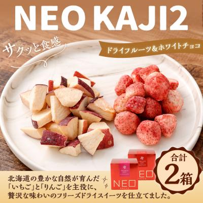 ふるさと納税 釧路市 [ 14営業日以内に発送 ] NEO KAJI2 ドライフルーツ × ホワイトチョコ各1箱