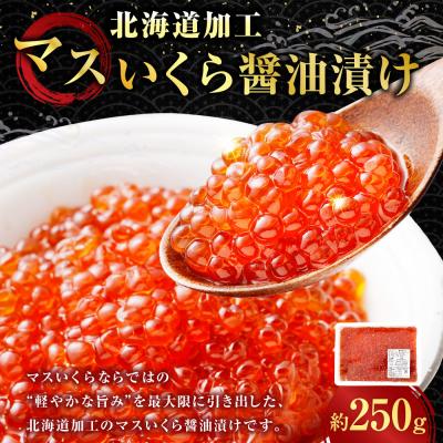 ふるさと納税 釧路市 [ 14営業日以内に発送 ] マスいくら 醤油漬け 250g × 1パック