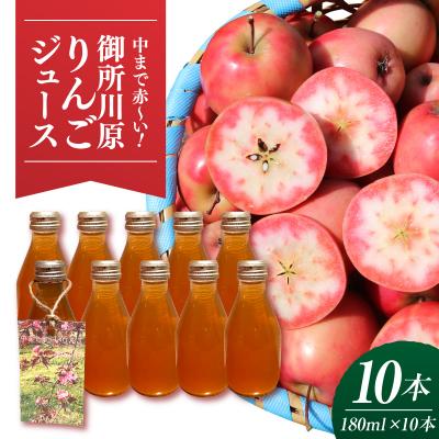 ふるさと納税 五所川原市 御所川原 りんごジュース (180ml×10本) 果汁100% 果肉まで赤〜い りんご 青森