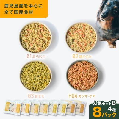 ふるさと納税 鹿児島市 Buddy FOOD 人気セットB 4種8パック K390-003_02