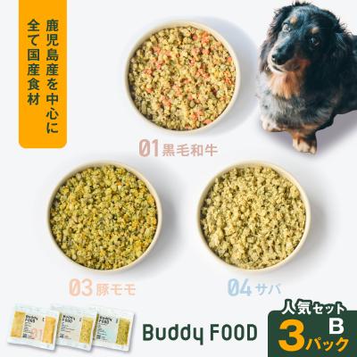 ふるさと納税 鹿児島市 Buddy FOOD 人気セットB 3種3パック(黒毛和牛、豚モモ、サバ) K390-002_12