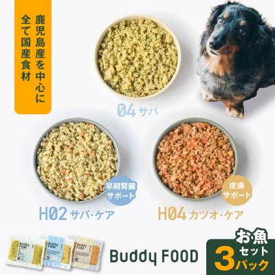 ふるさと納税 鹿児島市 Buddy FOOD お魚セット 3種3パック K390-002_18