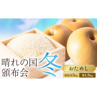 ふるさと納税 笠岡市 晴れの国頒布会 冬 おためし 無洗米 5kg 梨 1.8kg 定期便