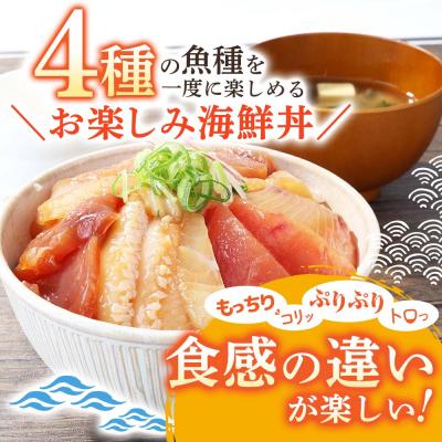ふるさと納税 田野町 【四国一小さなまち】これが魚屋の漬け丼だ!〜海鮮ミックス〜80g×20パック |  | 01