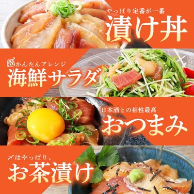 ふるさと納税 田野町 【四国一小さなまち】これが魚屋の漬け丼だ!〜海鮮ミックス〜80g×20パック |  | 02