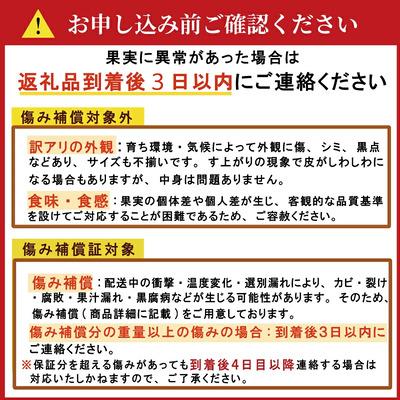 ふるさと納税 愛南町 【先行予約:2026年12月中旬〜発送】 訳あり 土佐文旦 8kg くらもとファーム 愛媛県 愛南町 |  | 02