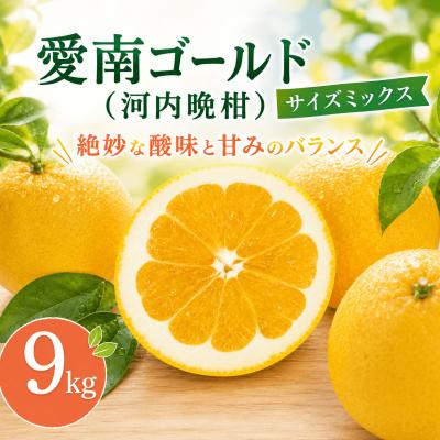 ふるさと納税 愛南町 [ふるさと納税] 河内晩柑 (愛南ゴールド) 大玉小玉ミックス 9kg 愛媛県 愛南町 愛なんよ