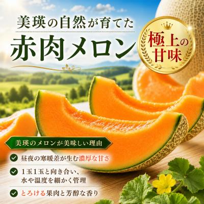 ふるさと納税 美瑛町 【令和9年産 先行予約】美瑛 赤肉メロン 1玉 秀品 2kg以上 金子農園 |  | 01