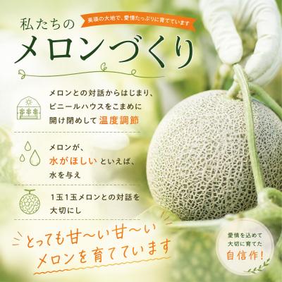 ふるさと納税 美瑛町 【令和9年産 先行予約】美瑛 赤肉メロン 1玉 秀品 2kg以上 金子農園 |  | 02