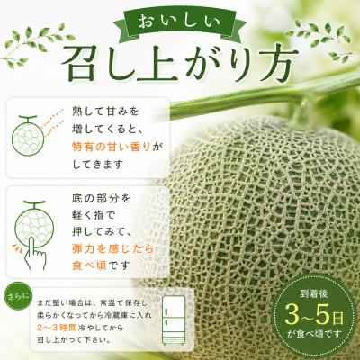 ふるさと納税 美瑛町 【令和9年産 先行予約】美瑛 赤肉メロン 1玉 秀品 2kg以上 金子農園 |  | 03
