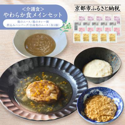 ふるさと納税 京都市 介護食 やわらか食 メインセット 鶏のムース/鶏のカレー粥/煮込みハンバーグ/白身魚のムース 各5個