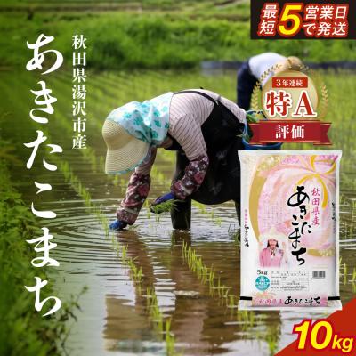 ふるさと納税 湯沢市 令和7年産 秋田県産あきたこまち 精米10kg[B9-17201]