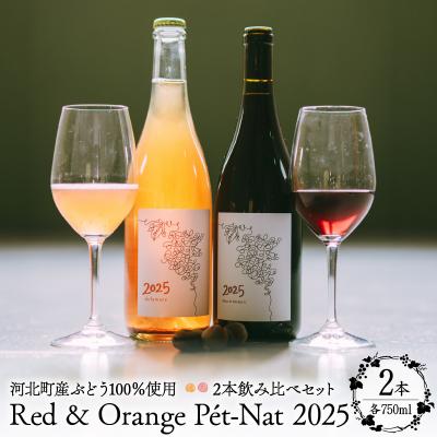 ふるさと納税 河北町 [河北町産ぶどう100%使用]Red &amp; Orange Pt-Nat 2025 2本飲み比べセット