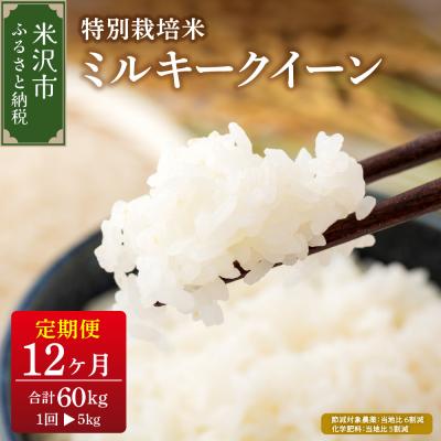 ふるさと納税 米沢市 [先行予約]12ヶ月定期便 令和8年産 ミルキークイーン 5kg × 12回 計60kg 特別栽培米