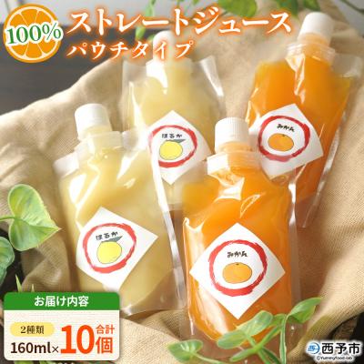 ふるさと納税 西予市 100%ストレートジュース パウチタイプおまかせ 160ml(各2種類×5セット) 計10個 愛媛