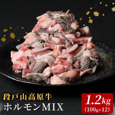 ふるさと納税 設楽町 国産牛 段戸山高原牛 ホルモンミックス 1.2kg(100g×12パック) もつ鍋 焼き肉用 BBQ