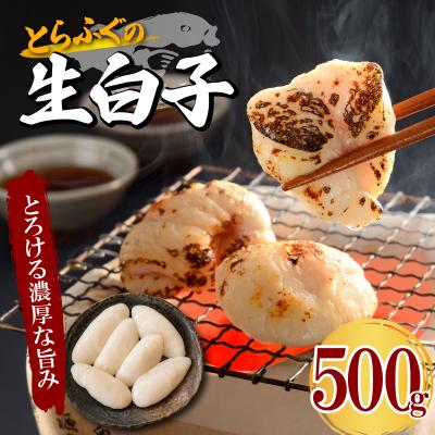 ふるさと納税 下関市 とらふぐ生白子 大容量 500g 冷凍 ふぐ 高級魚 鮮魚 下関 山口