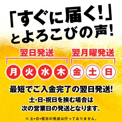 ふるさと納税 千歳市 【限定醸造】 キリン秋味 < 北海道千歳工場産 > 350ml ( 24本 ) キリンビール |  | 01