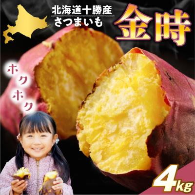 ふるさと納税 芽室町 [先行受付][10月上旬より配送]北海道十勝芽室産 さつまいも 金時4kg